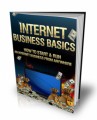 Internet Business Basics Mrr Ebook