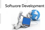 Software Dev Plr Articles
