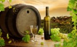 Wine Making Plr Articles