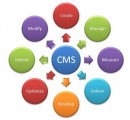 Content Management Systems Plr Articles