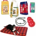 Dog Supplies Plr Articles