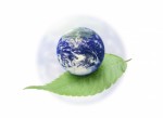 Environment Plr Articles