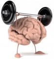 Better Your Brain Plr Articles