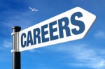 Career Information Plr Articles