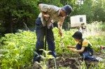 Gardening Plr Articles v4