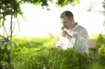 Herb Garden Niche Business Plr Articles