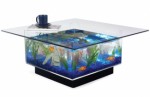 Fish Tank Plr Articles