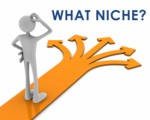 Developing A Niche Plr Articles