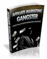 Affiliate Marketing Gangster Plr Ebook