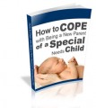 Being a New Parent of a Special Needs Child Plr Ebook