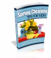 Spring Cleaning Plr Ebook