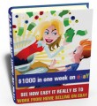 1000 In One Week On Ebay PLR Ebook