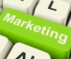 Marketing Plr Articles  v6