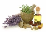 Homeopathy Plr Articles v3
