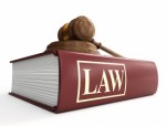 Law And Government Plr Articles