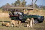 Safari Vacations Plr Articles