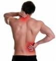 Backpain Plr Articles