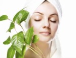 Skin Care Plr Articles v13