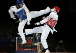 Taekwondo Plr Articles
