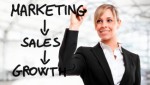 Marketing Plr Articles v8