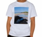 Tshirt Printing Plr Articles