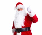 Christmas Santa Claus Plr Articles