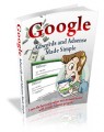 Google Adwords And Adsense Plr Ebook