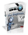 SEO For Beginners Plr Ebook