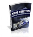 Niche Marketing Plr Ebook