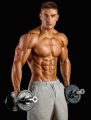 Beginner Bodybuilding Plr Ebook