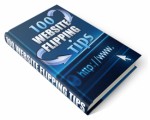 100 Website Flipping Tips PLR Ebook 