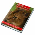 Raising Exotic Bengal Kittens MRR Ebook With Audio