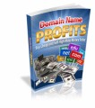 Domain Name Profits Mrr Ebook