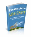 The Abundance Magnet Mrr Ebook