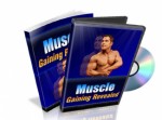 Muscle Gaining Revealed Mrr Ebook With Video