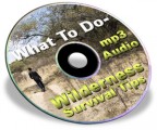 What To Do: Wilderness Survival Tips Plr Ebook With Audio