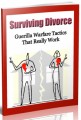 Surviving Divorce Give Away Rights Ebook