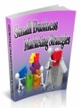 Small Business Marketing Stategies PLR Ebook 