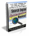 Search Engine Optimization Basics Newsletter PLR Ebook 