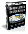 Business Web Design Basics Course PLR Ebook 