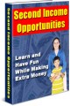 Second Income Opportunities Give Away Rights Ebook