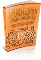 Natural Numerology Plr Ebook