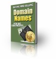 Buying And Selling Domain Names Plr Ebook