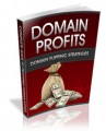Domain Profits Plr Ebook