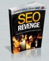 SEO Revenge Plr Ebook