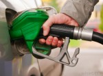 Diesel VS Gasoline Vehicles Plr Articles 