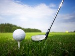 Golf Plr Articles V10
