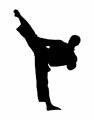 Martial Arts Plr Articles 