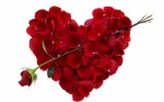 Valentines Day Plr Articles V2