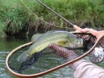 Adventures In Fly Fishing Plr Articles 